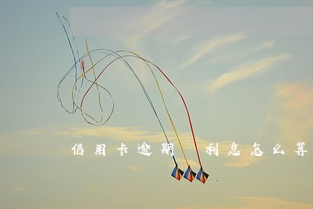 信用卡逾期 利息怎么算的 信用卡逾期 利息怎么算的